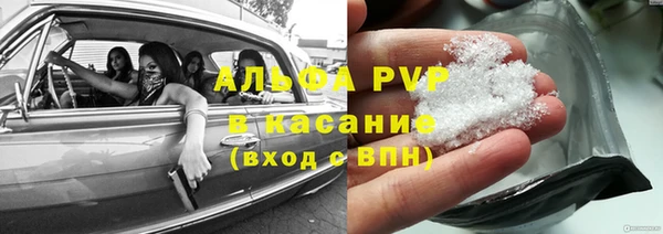 ПСИЛОЦИБИНОВЫЕ ГРИБЫ Покачи