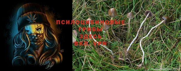 МДПВ Покров