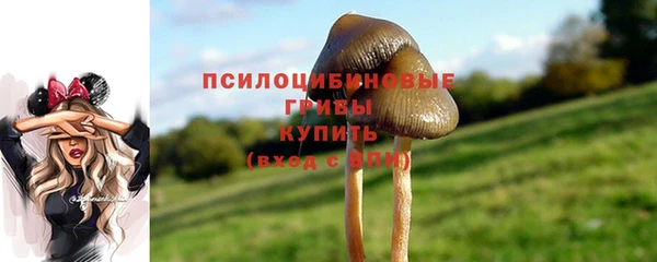 apvp Абинск