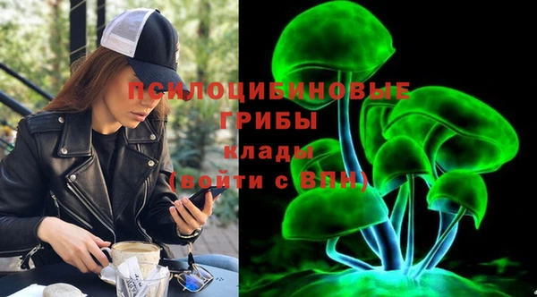 МДПВ Покров