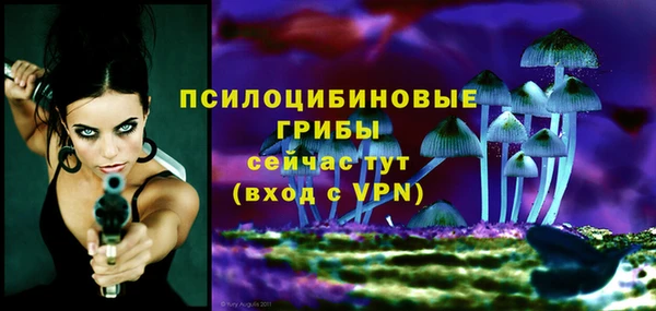 ГАЛЛЮЦИНОГЕННЫЕ ГРИБЫ Горнозаводск