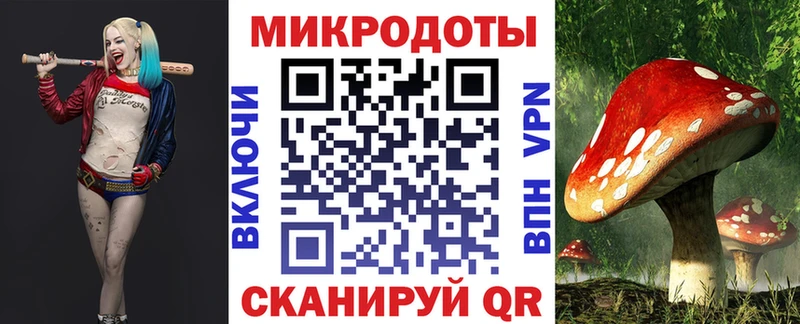 Галлюциногенные грибы мухоморы  гидра рабочий сайт  Каргополь 