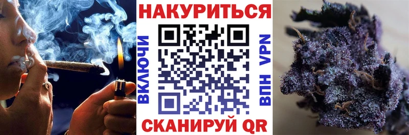сколько стоит  Каргополь  Каннабис индика 